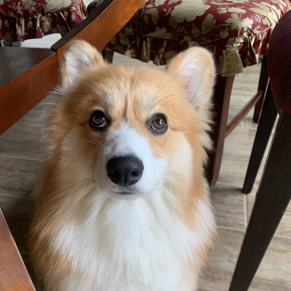 Meet your Posher, Cindy